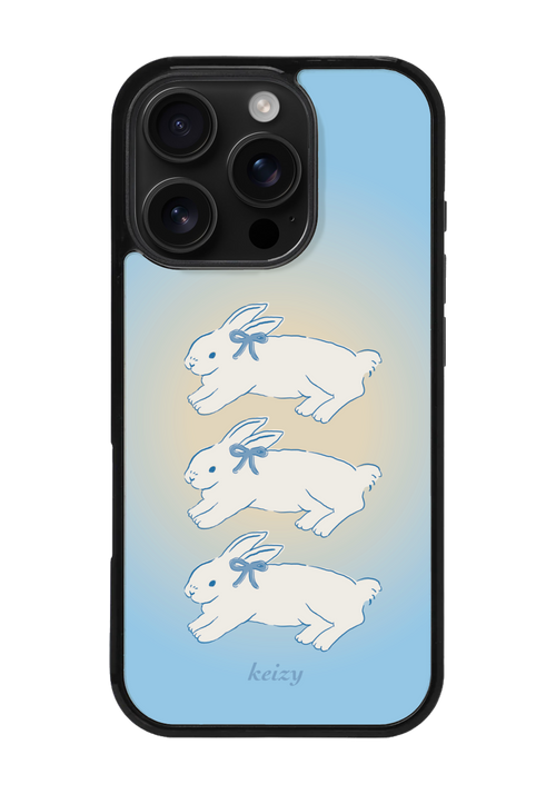 bunny gradient